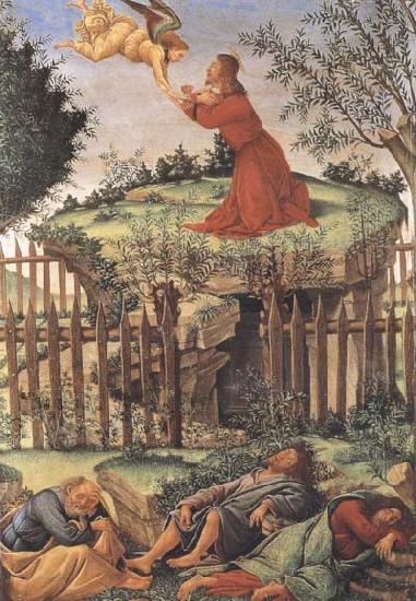 Sandro Botticelli Prayer in the Garden Sweden oil painting art